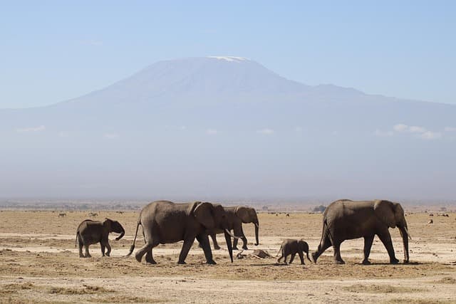 Arusha