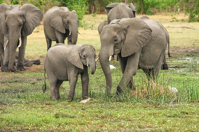 Basecamp Tanzania